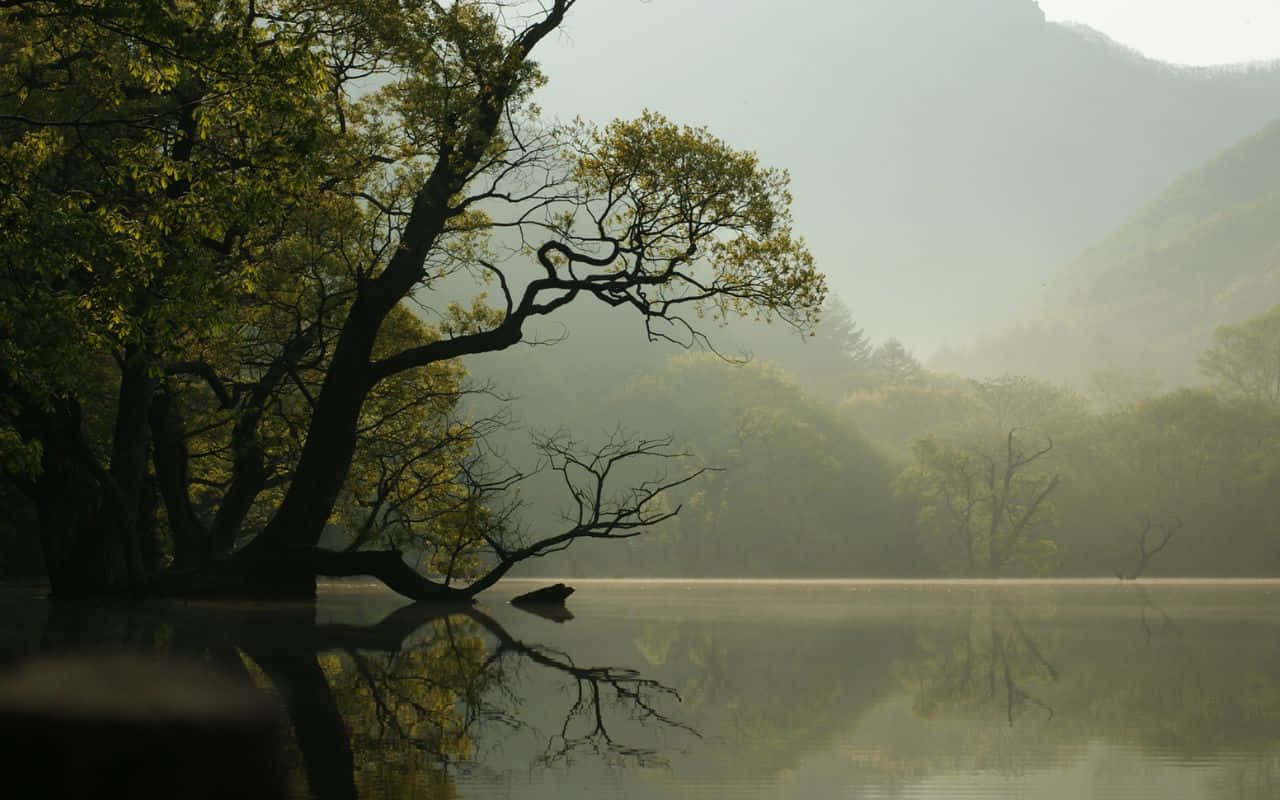 內華達山脈壯麗景觀 壁紙