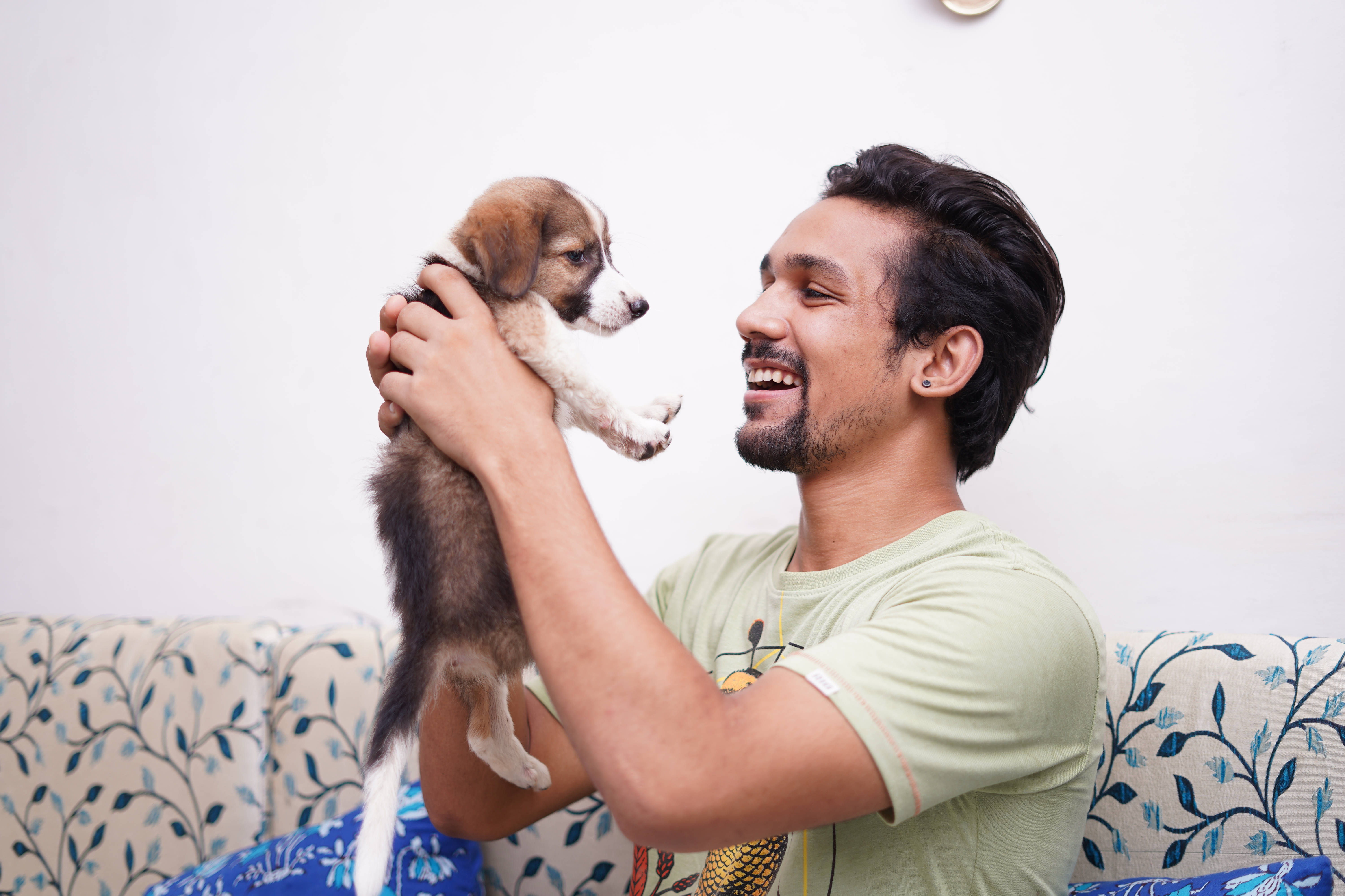 公主人養的可愛狗狗 壁紙