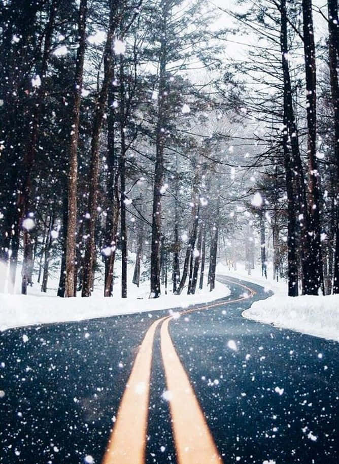 冬季仙境：森林雪徑 壁紙