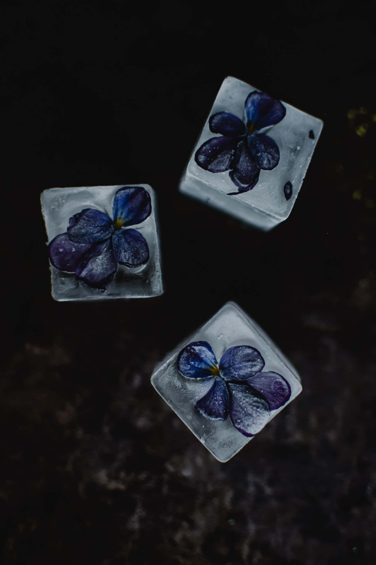 冰凍藍花手機 壁紙