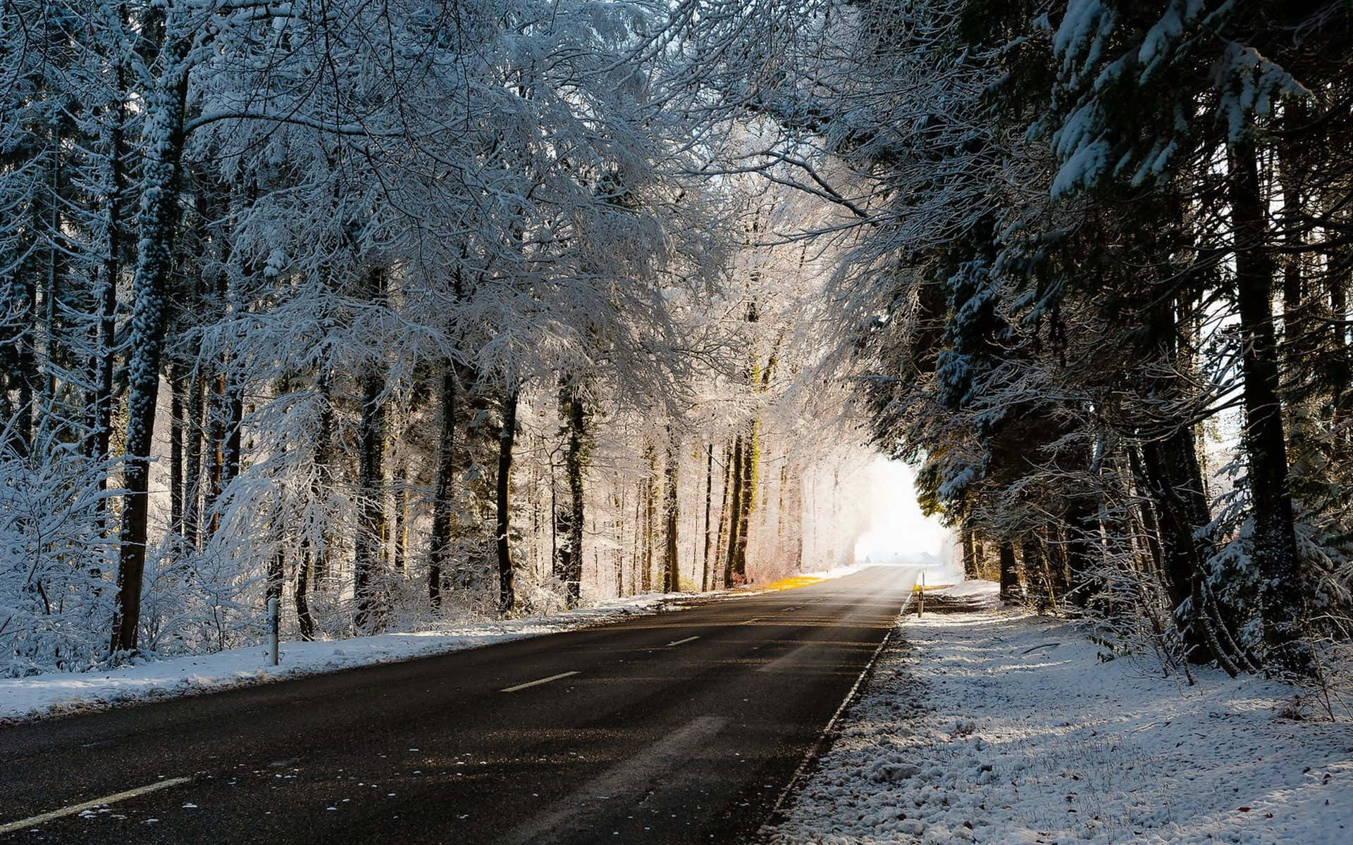 冰雪环绕的迷人冰路景象 壁紙