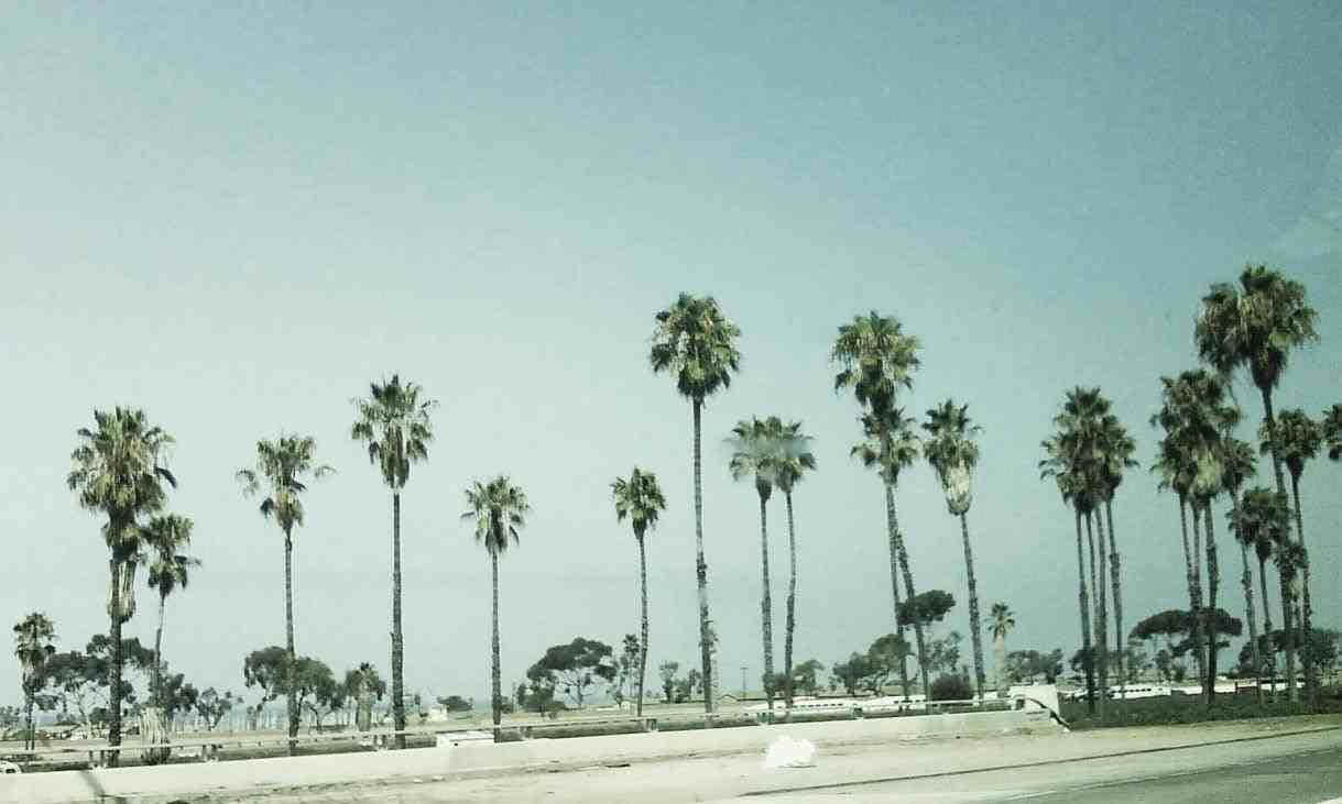 加州海岸美景 壁紙