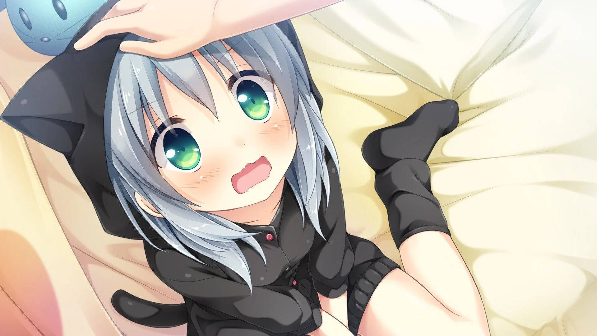 动漫女孩连帽猫娘 壁紙