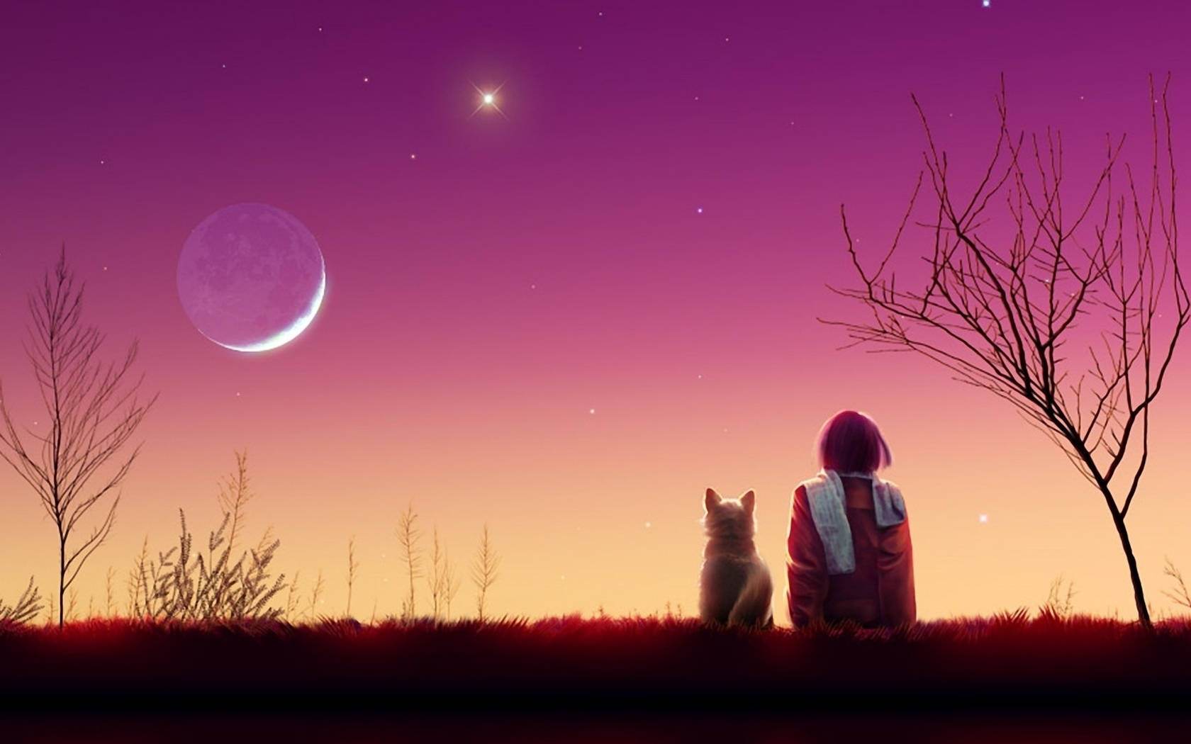 動漫女孩與貓的唯美夕陽 壁紙