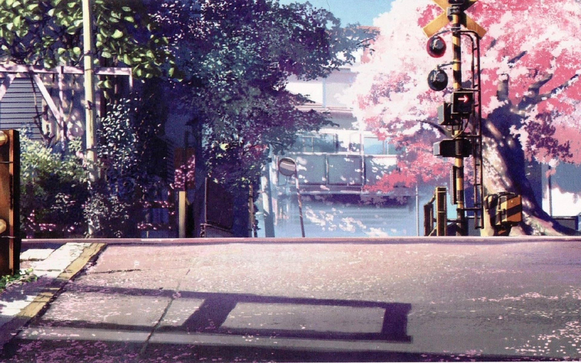 動漫風景櫻花 壁紙