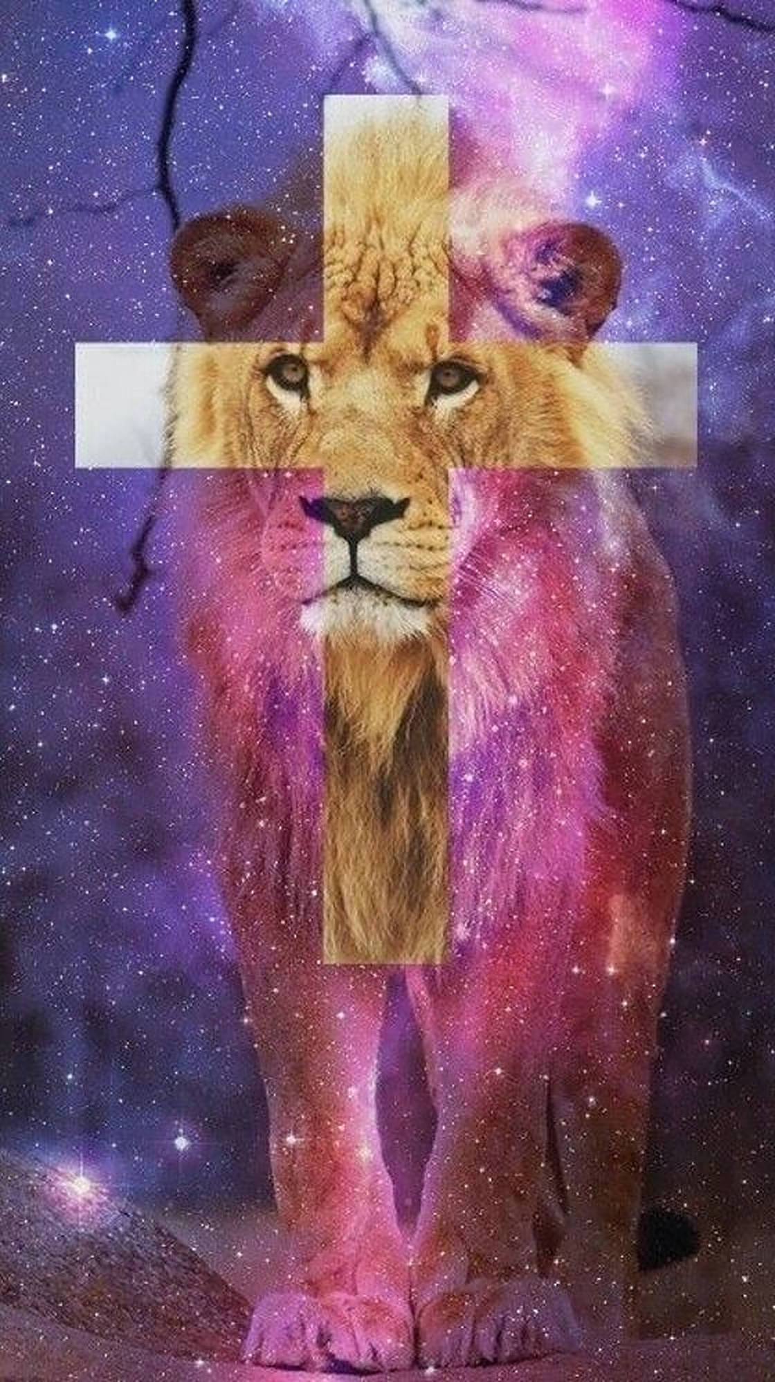 十字星系獅王 壁紙