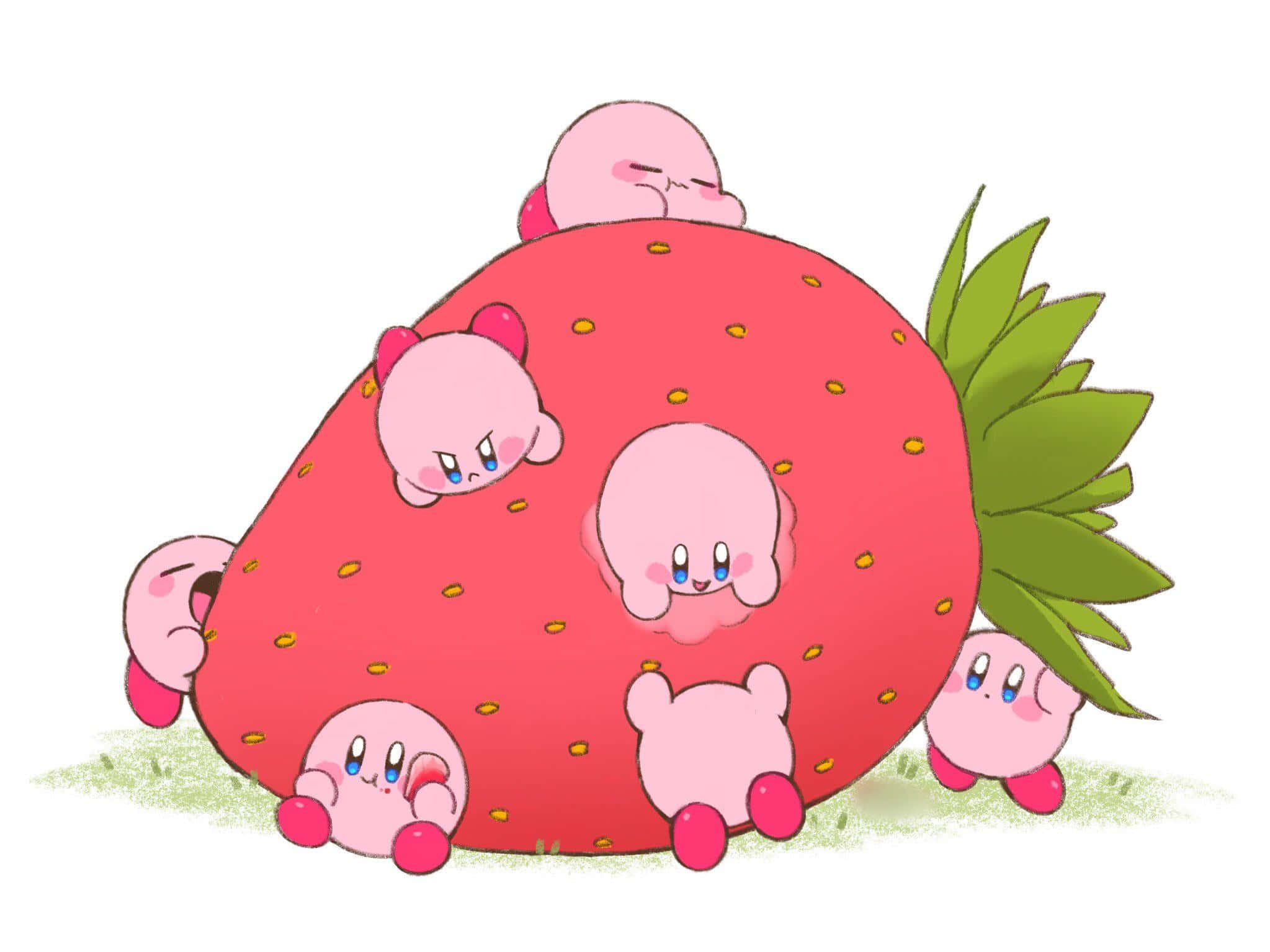 「卡比準備好冒險了！」 壁紙