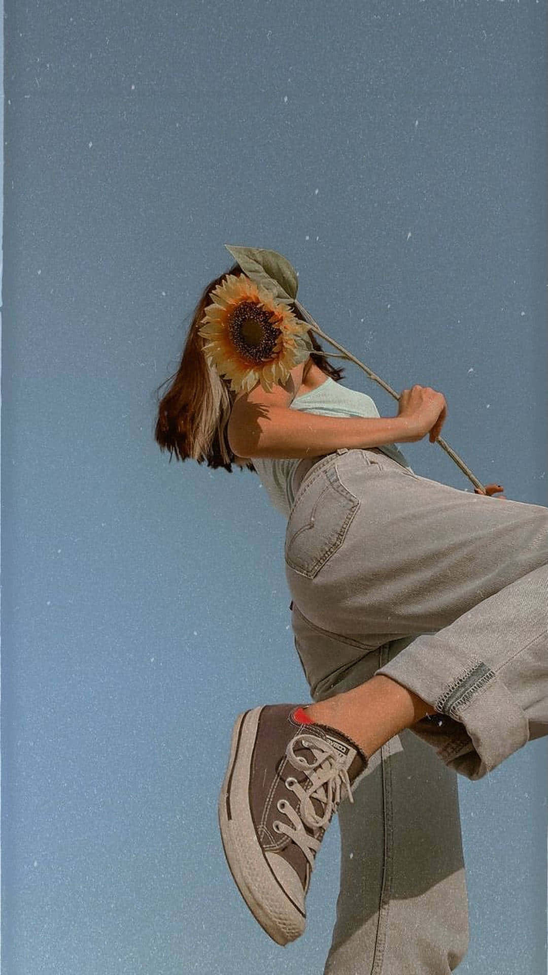 可愛側臉女子手拿向日葵圖片 壁紙