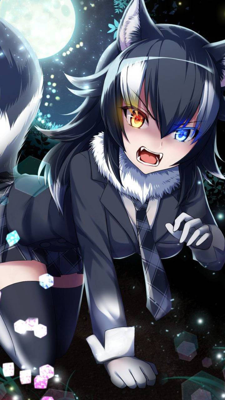 可愛動漫狼女孩頭像 壁紙