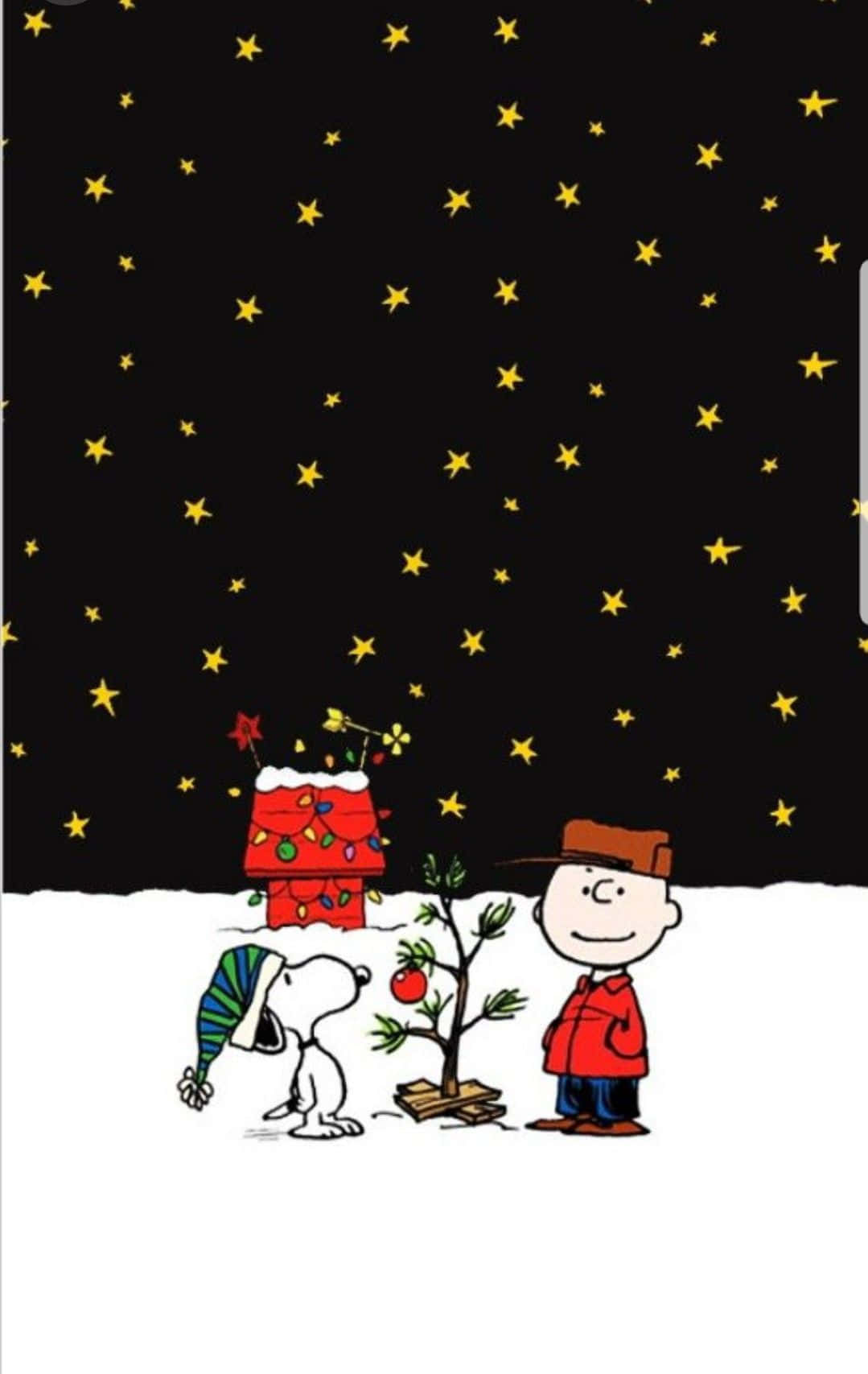 可愛史努比聖誕夜星空 壁紙