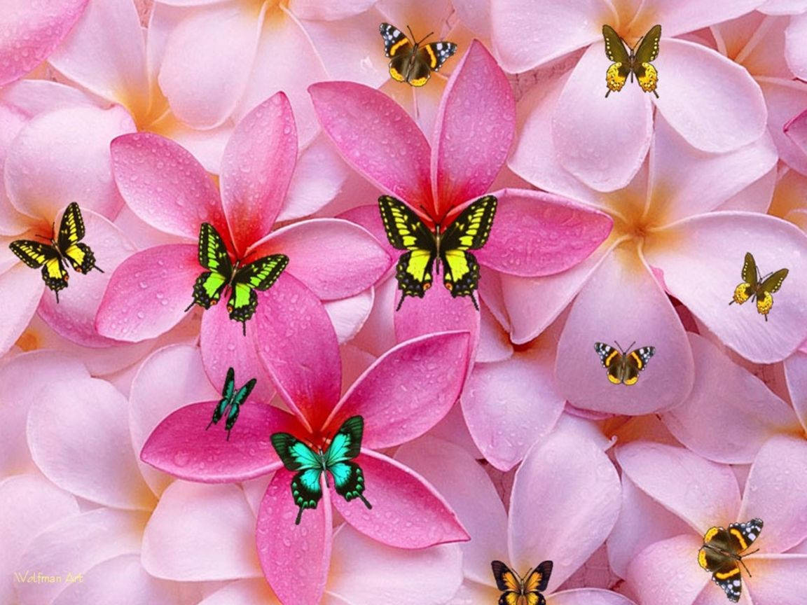 可愛少女風花朵與蝴蝶 壁紙