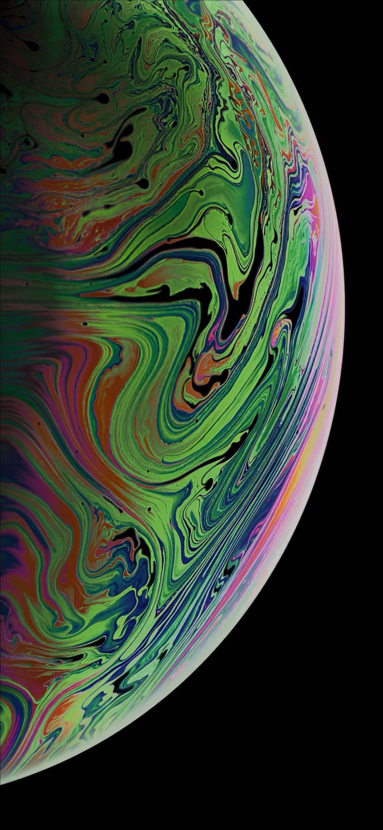 可愛無尾熊iPhone桌布 壁紙