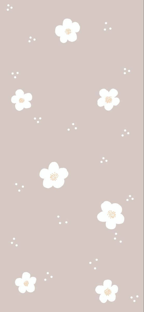 可愛簡約的無莖白色花朵 壁紙