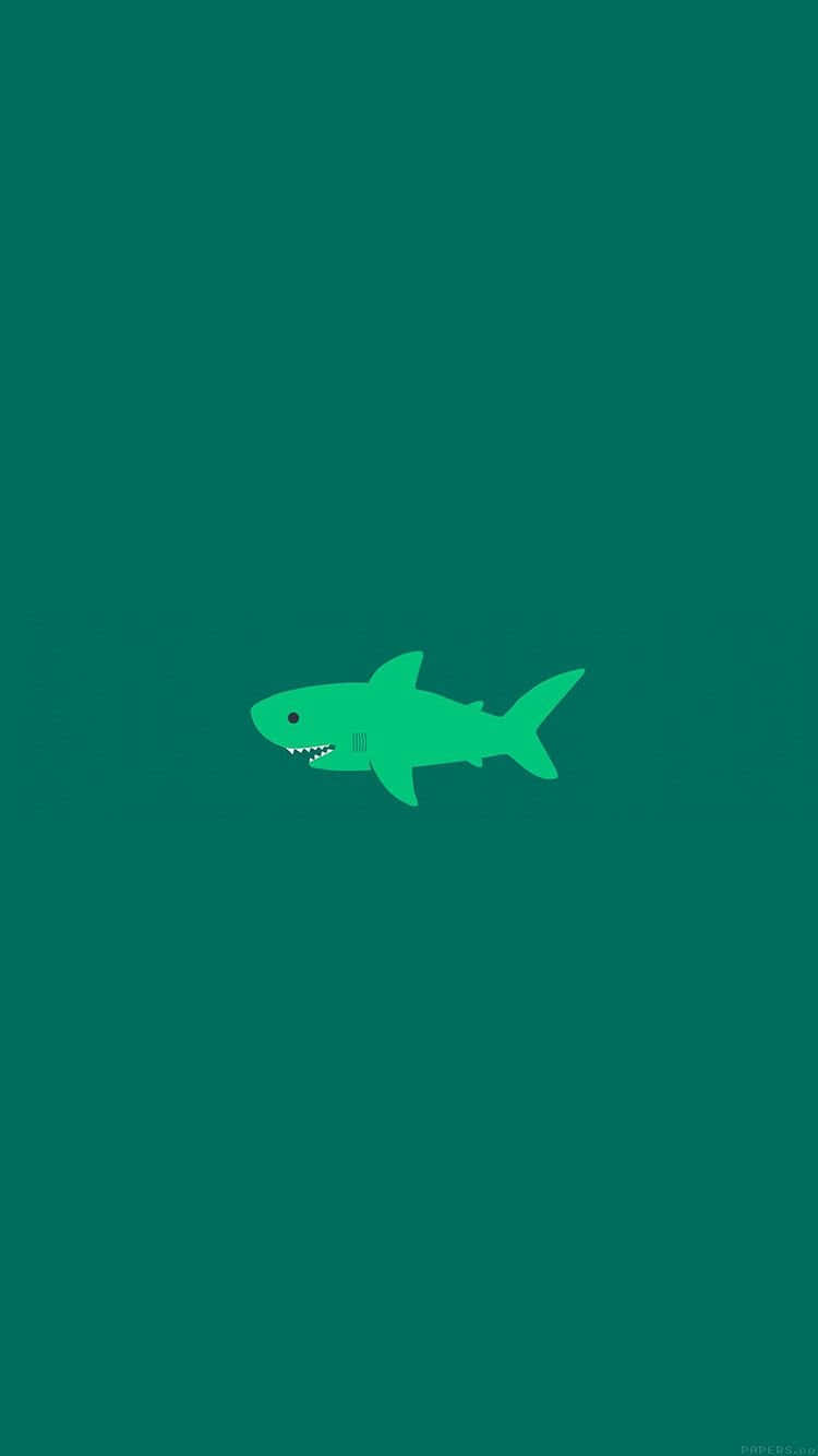 可愛綠色鯊魚 壁紙