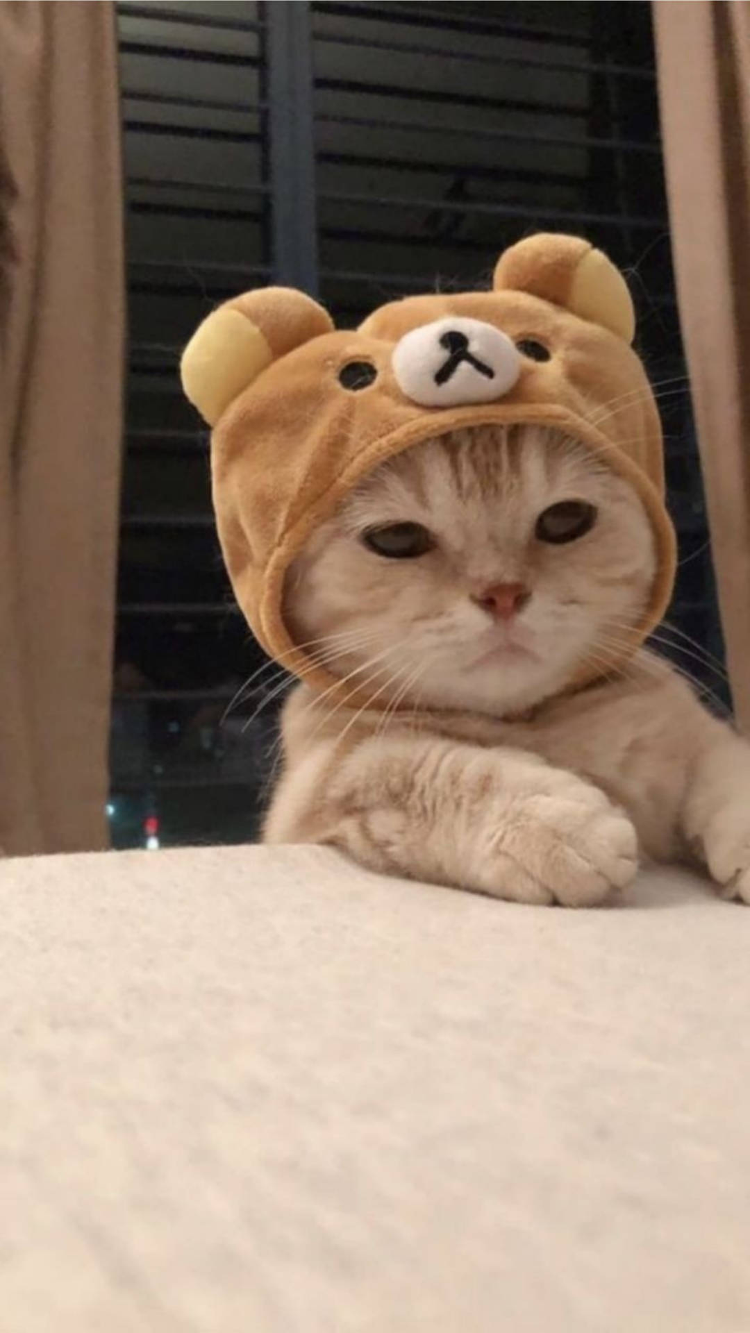 可愛貓咪美學Rilakkuma帽子