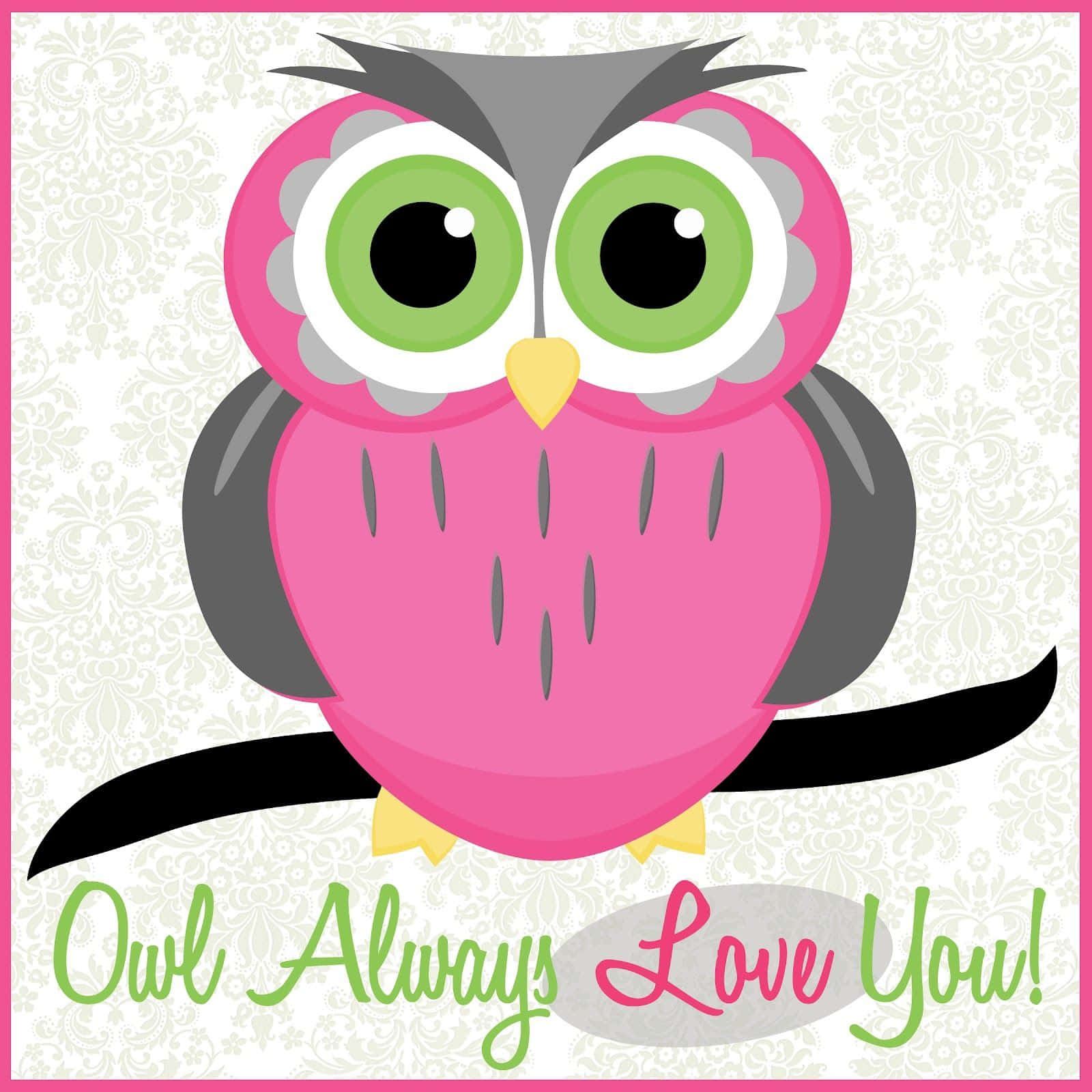 可愛貓頭鷹睜大眼睛萌翻人心 壁紙