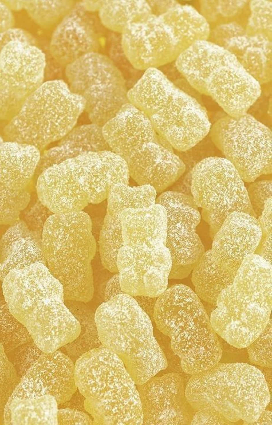 可爱淡黄色小熊软糖 壁紙