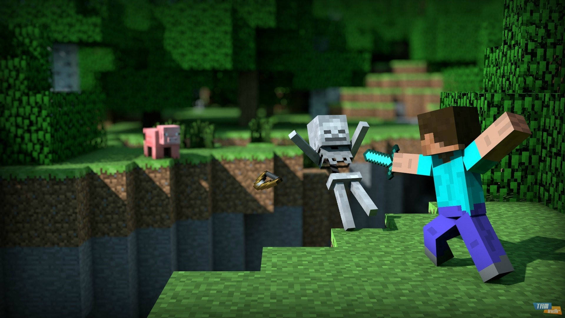 史蒂夫大戰骷髏 Minecraft HD 壁紙
