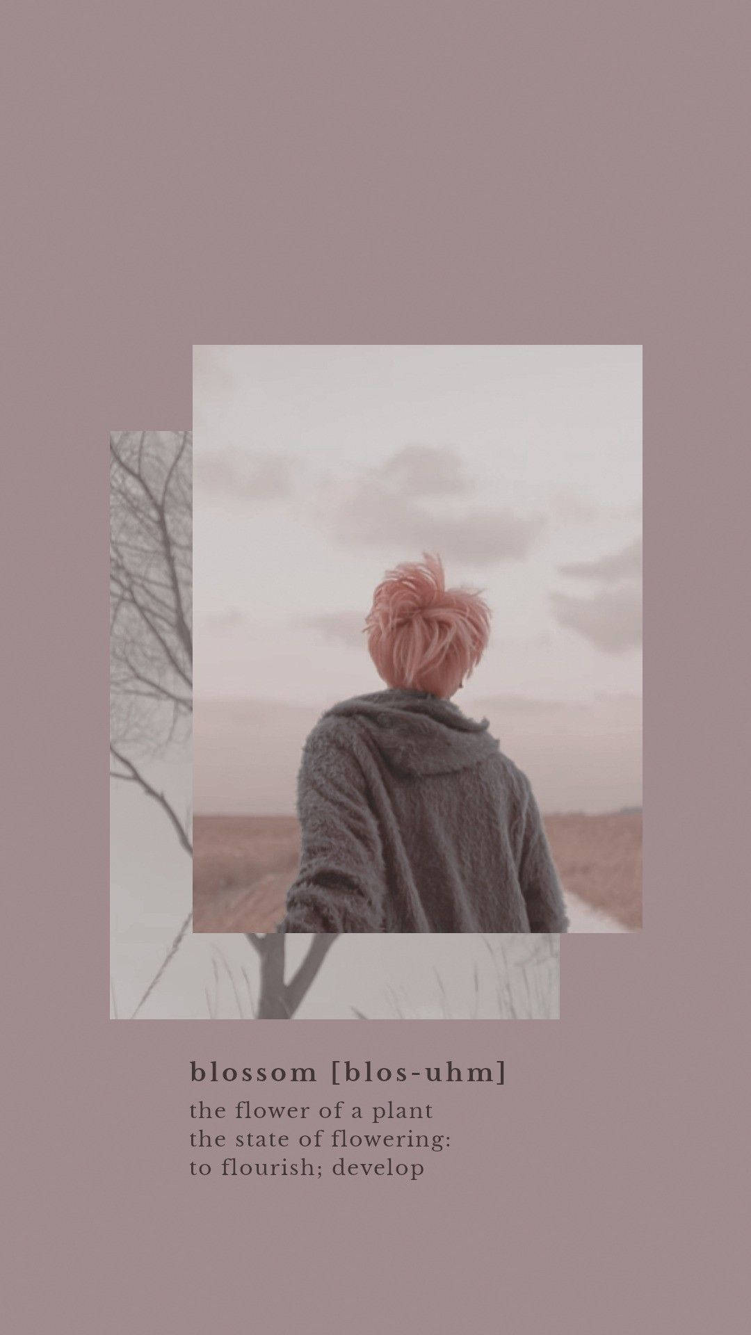 唯美 BTS Jimin 花開 壁紙