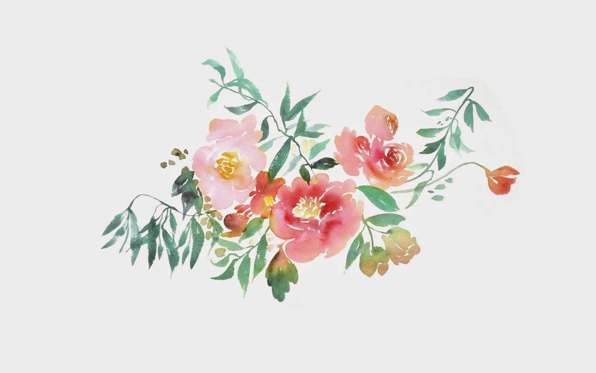 唯美桌面水彩花卉 壁紙