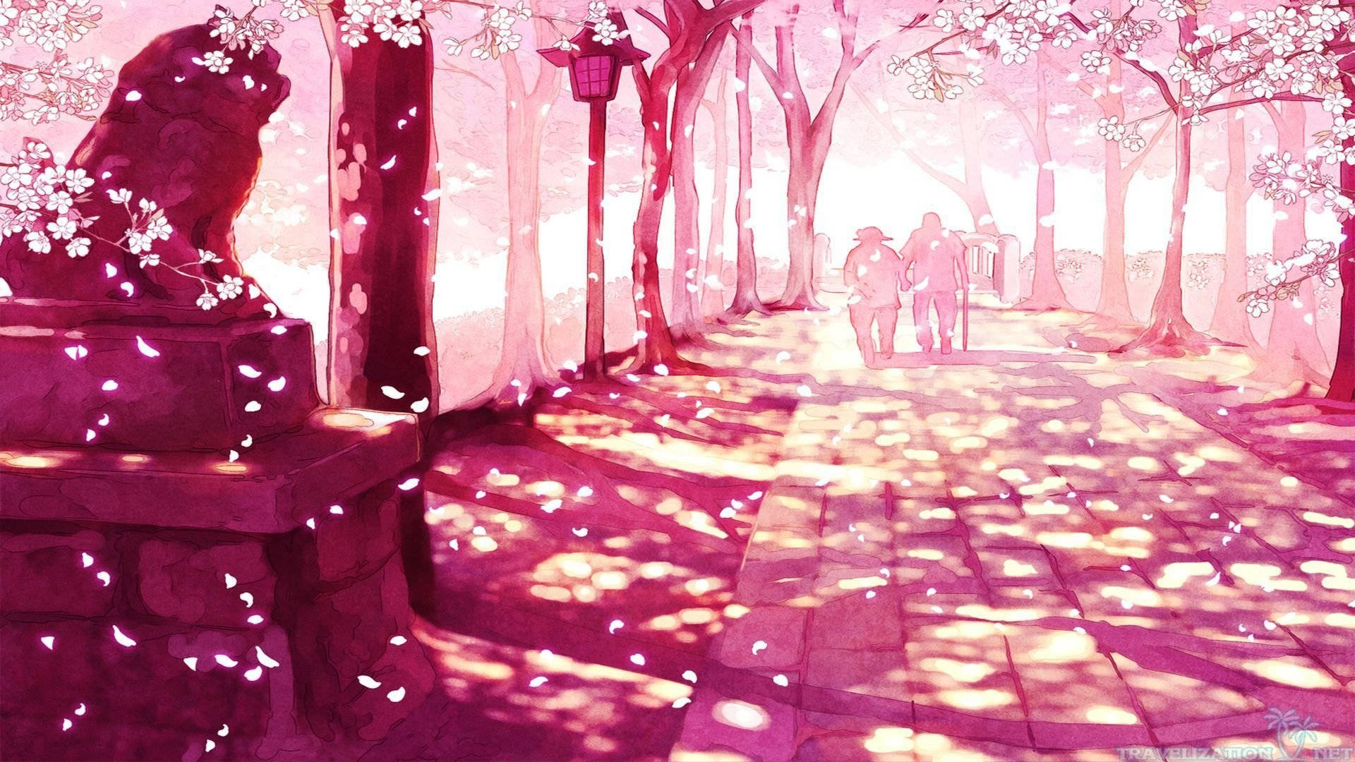 唯美艺术樱花 壁紙