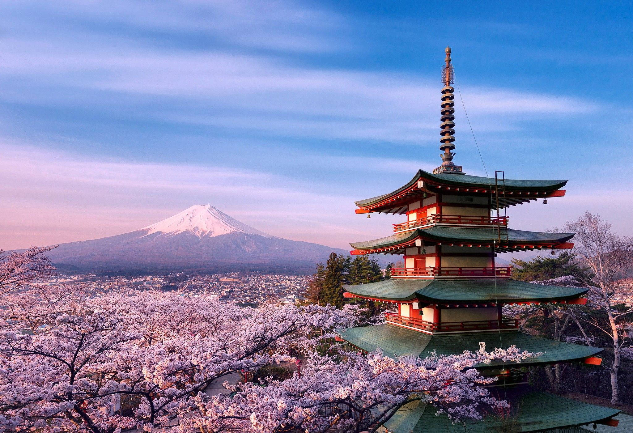 在日本享受美麗的櫻花美景 壁紙