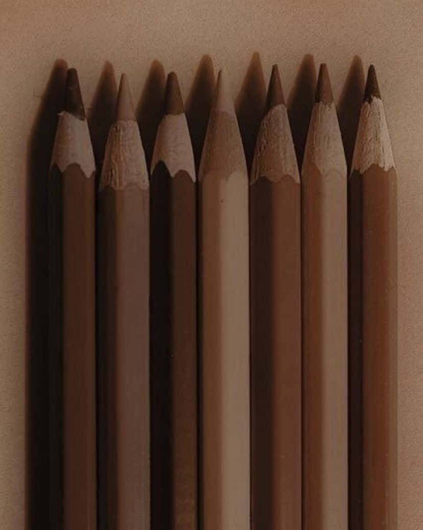 在美學棕色場景中享受自然之美 壁紙