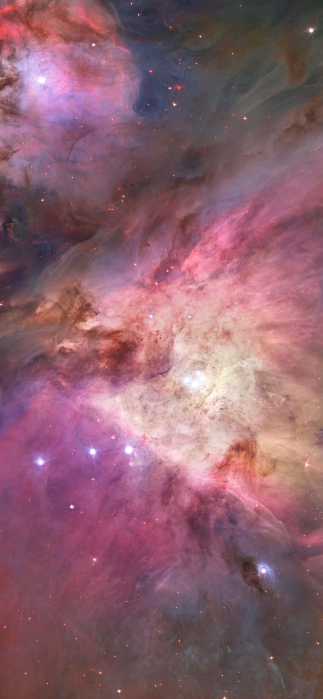 壮丽的猎户座星座在一片星海中。 壁紙