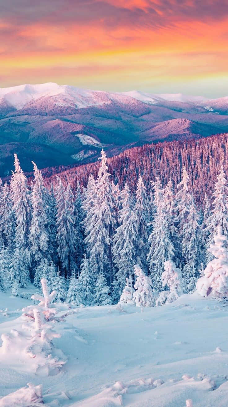 壯麗冬日雪景 壁紙