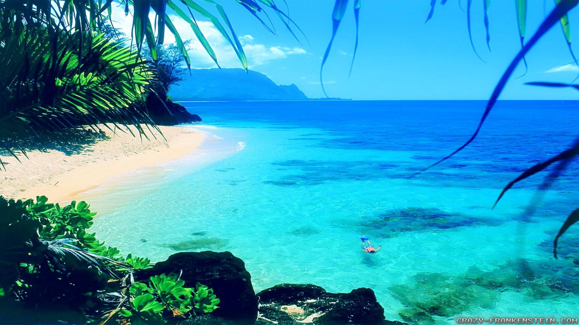 夏日最美自然風情 壁紙