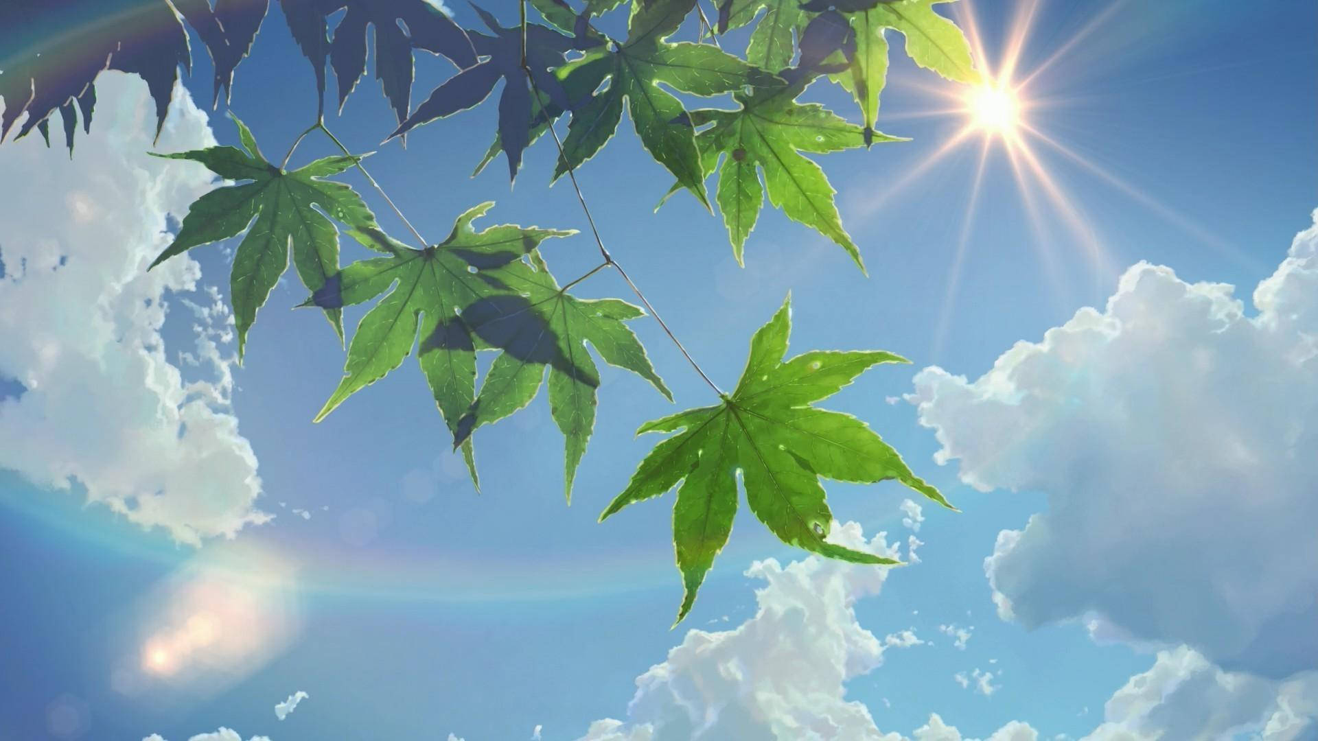 夏日美学 阳光与天空 壁紙