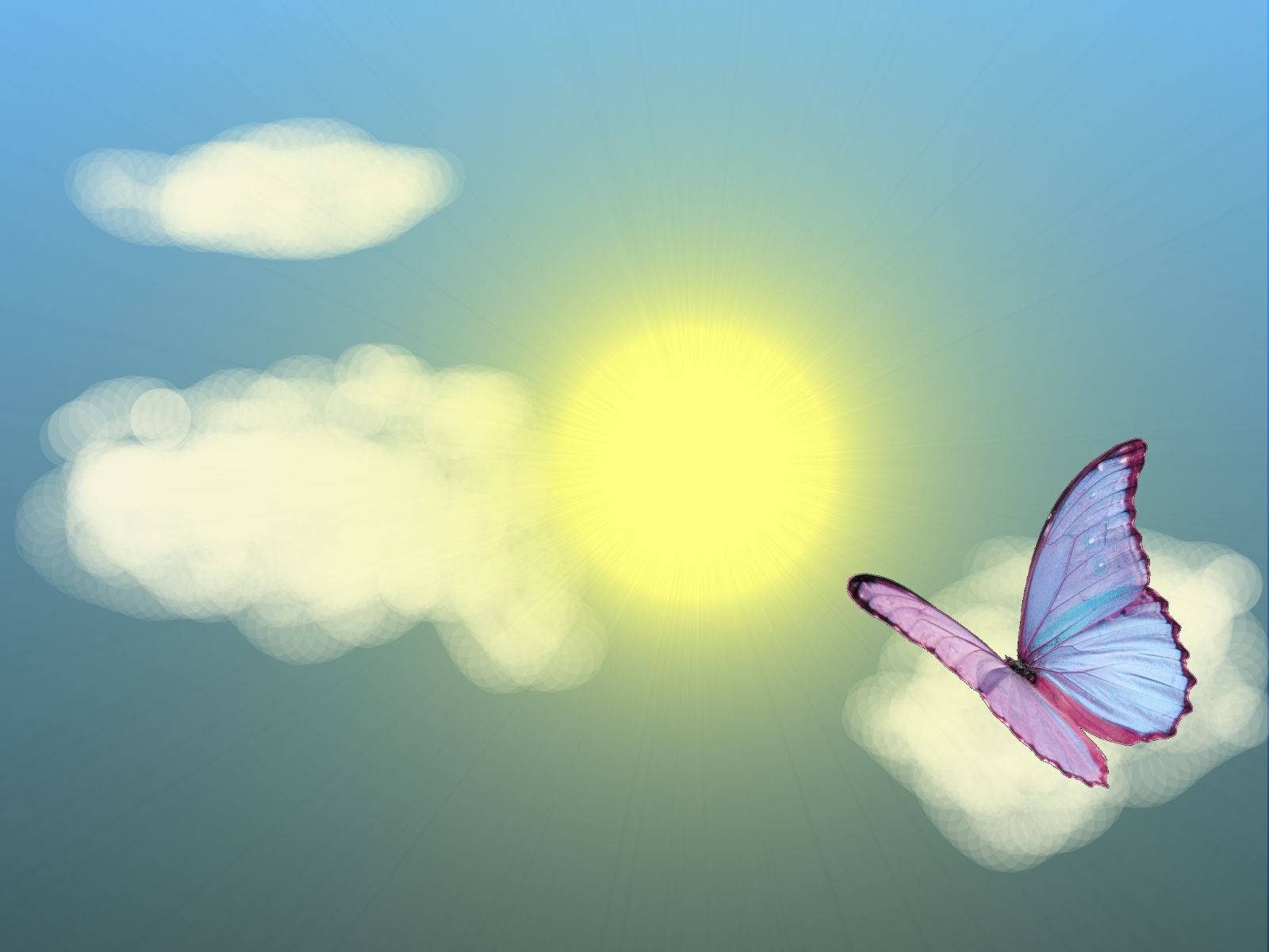 夏日美學漂浮蝴蝶 壁紙