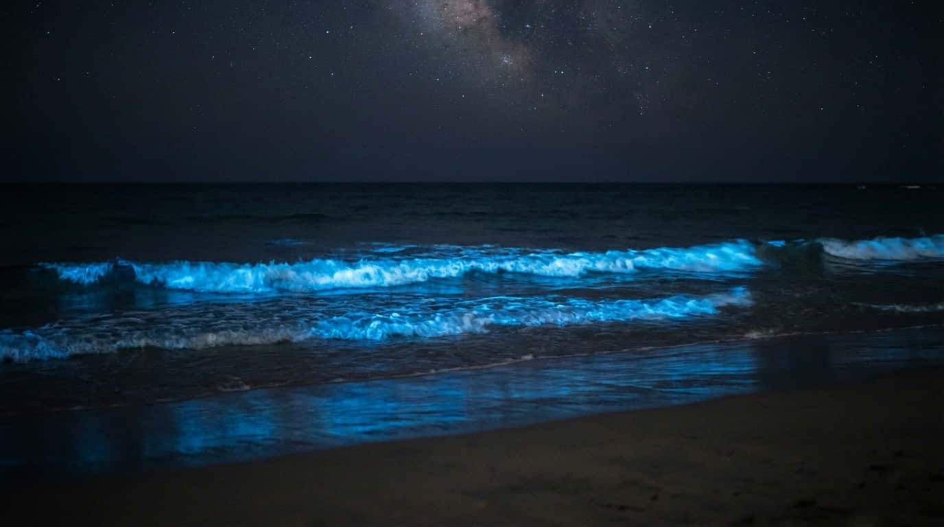 4K夜晚海洋、藍色夜浪、夜間海洋桌布、銀河沙灘、發光海灘、生物發光波浪、自然4K、自然、海灘、海洋背景、海洋