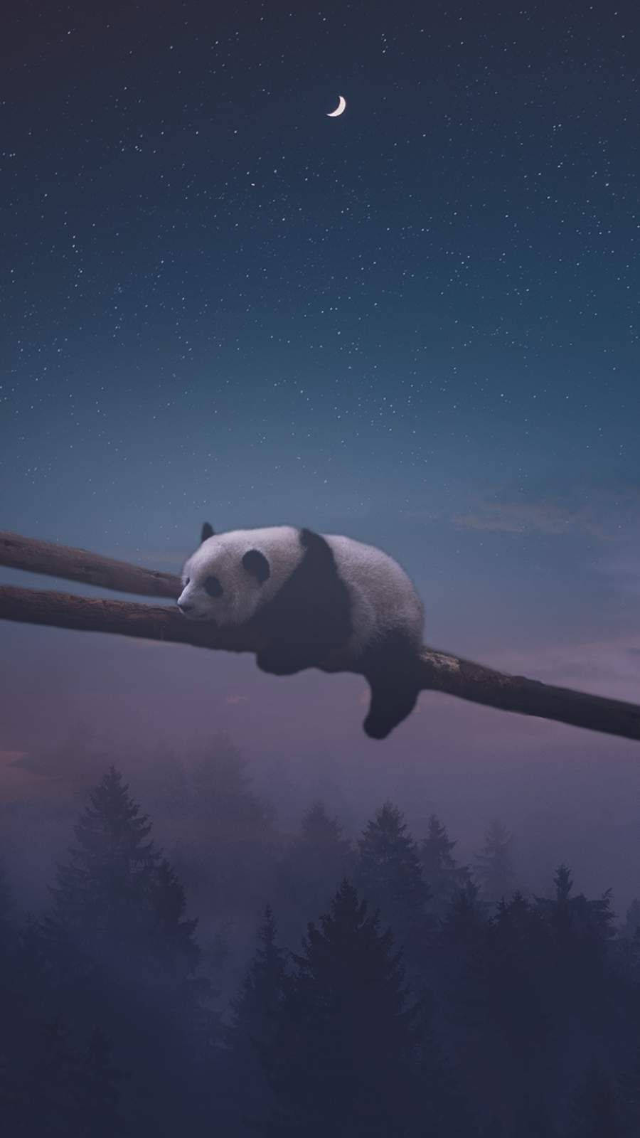 夜熊貓安眠 壁紙