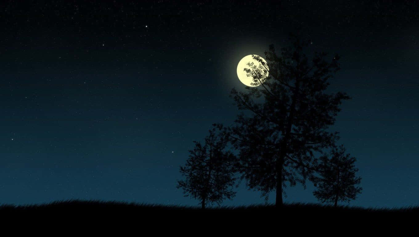 夜空中的樹木與月亮 壁紙