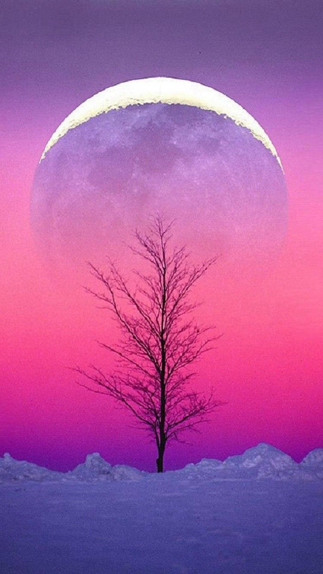 夜空明月景 壁紙