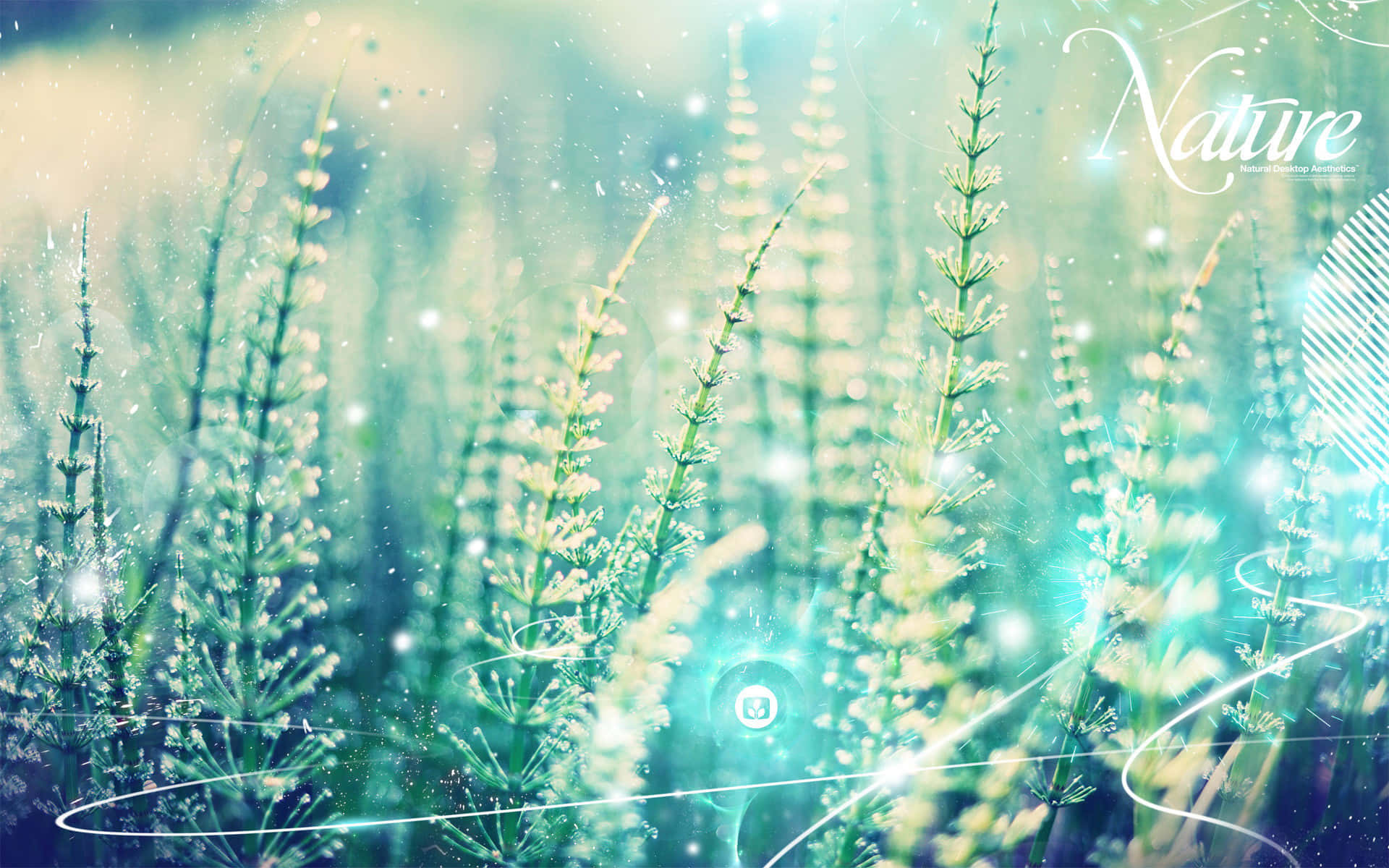夢幻粉彩天空 壁紙