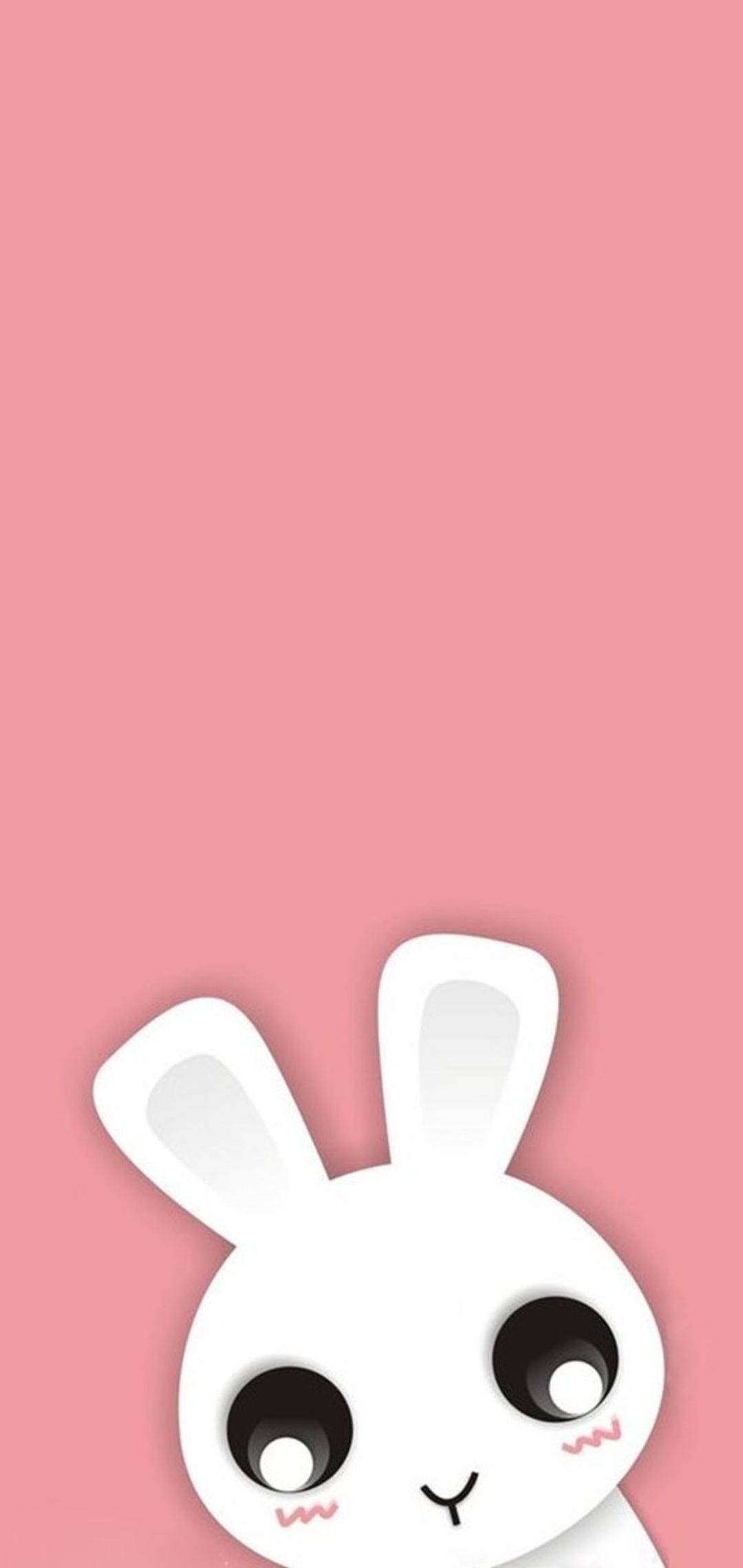 大眼兔兔可爱iPhone壁纸 壁紙