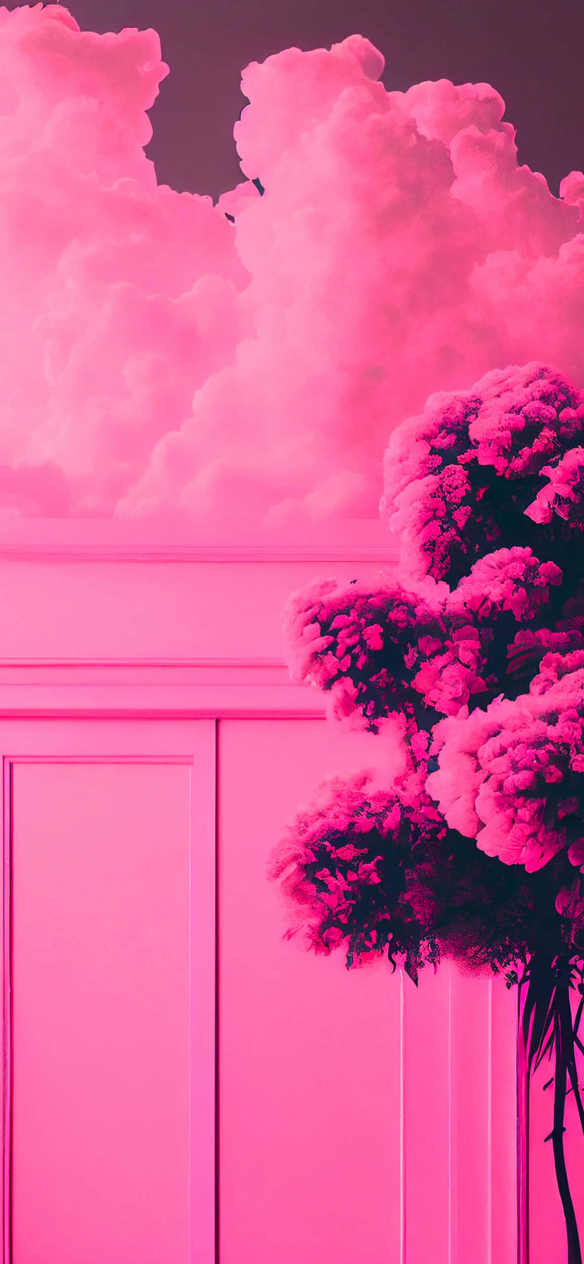 大膽亮粉紅 壁紙