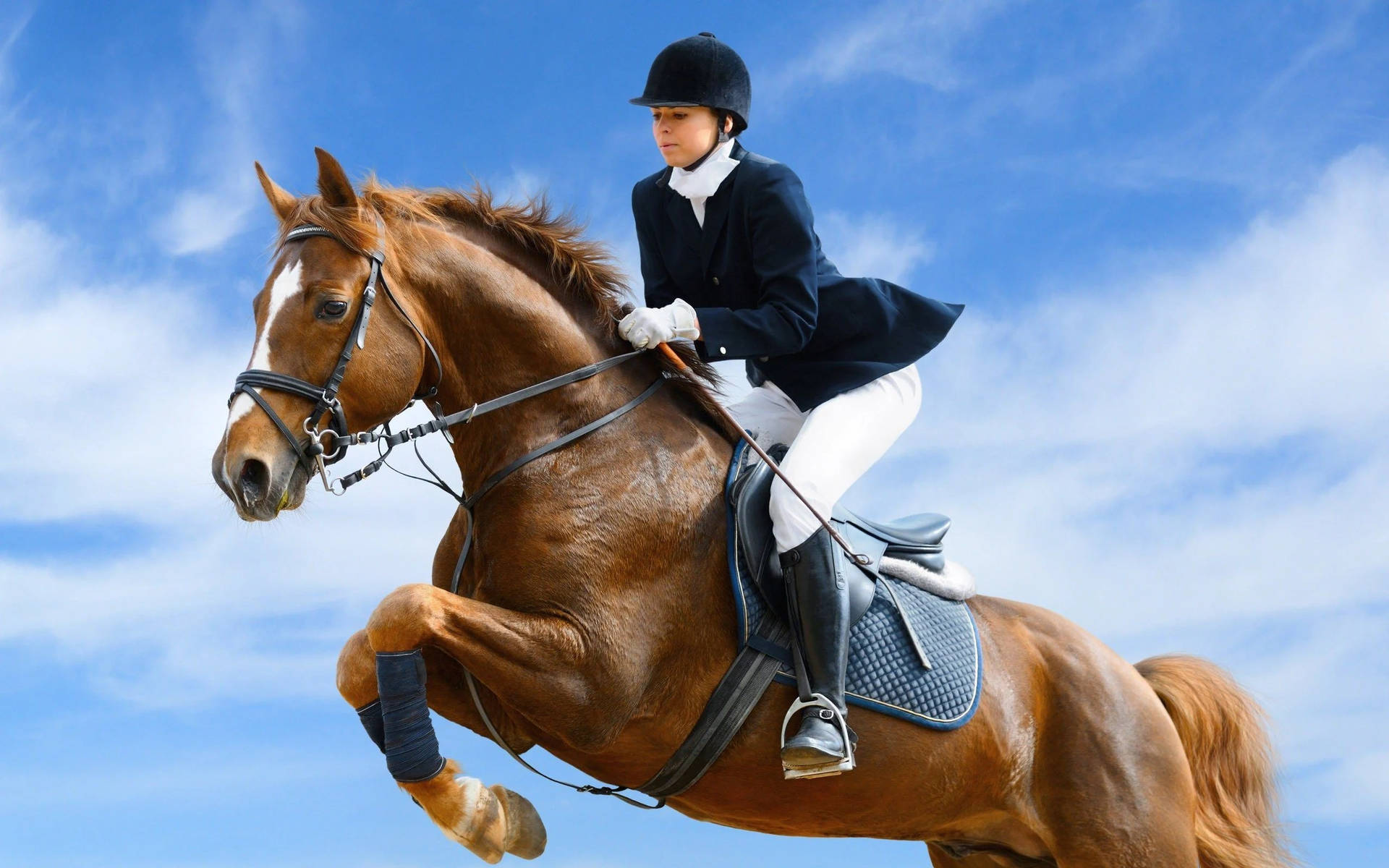 女子騎馬跳躍 馬術運動 — 馬 壁紙