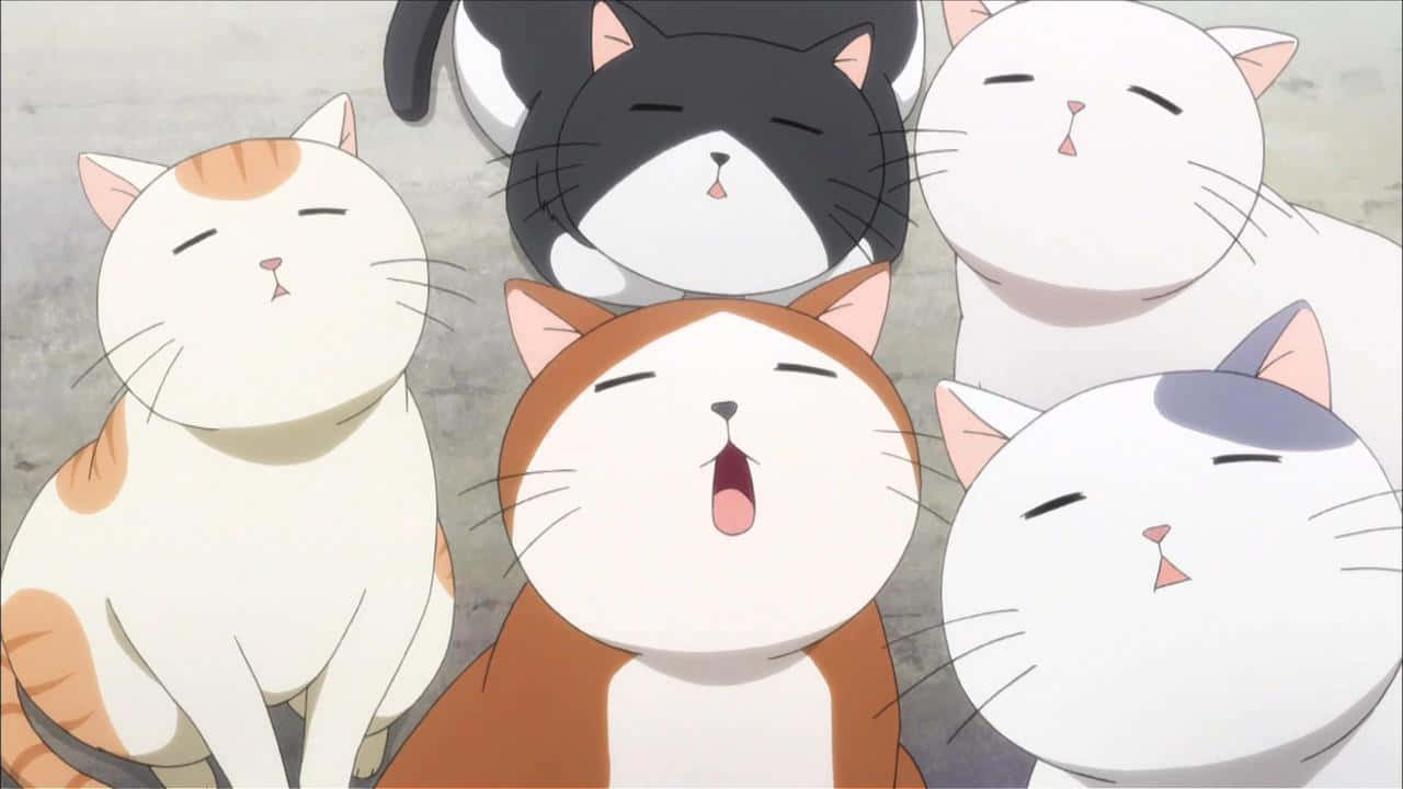 好奇的动漫猫咪探索世界 壁紙