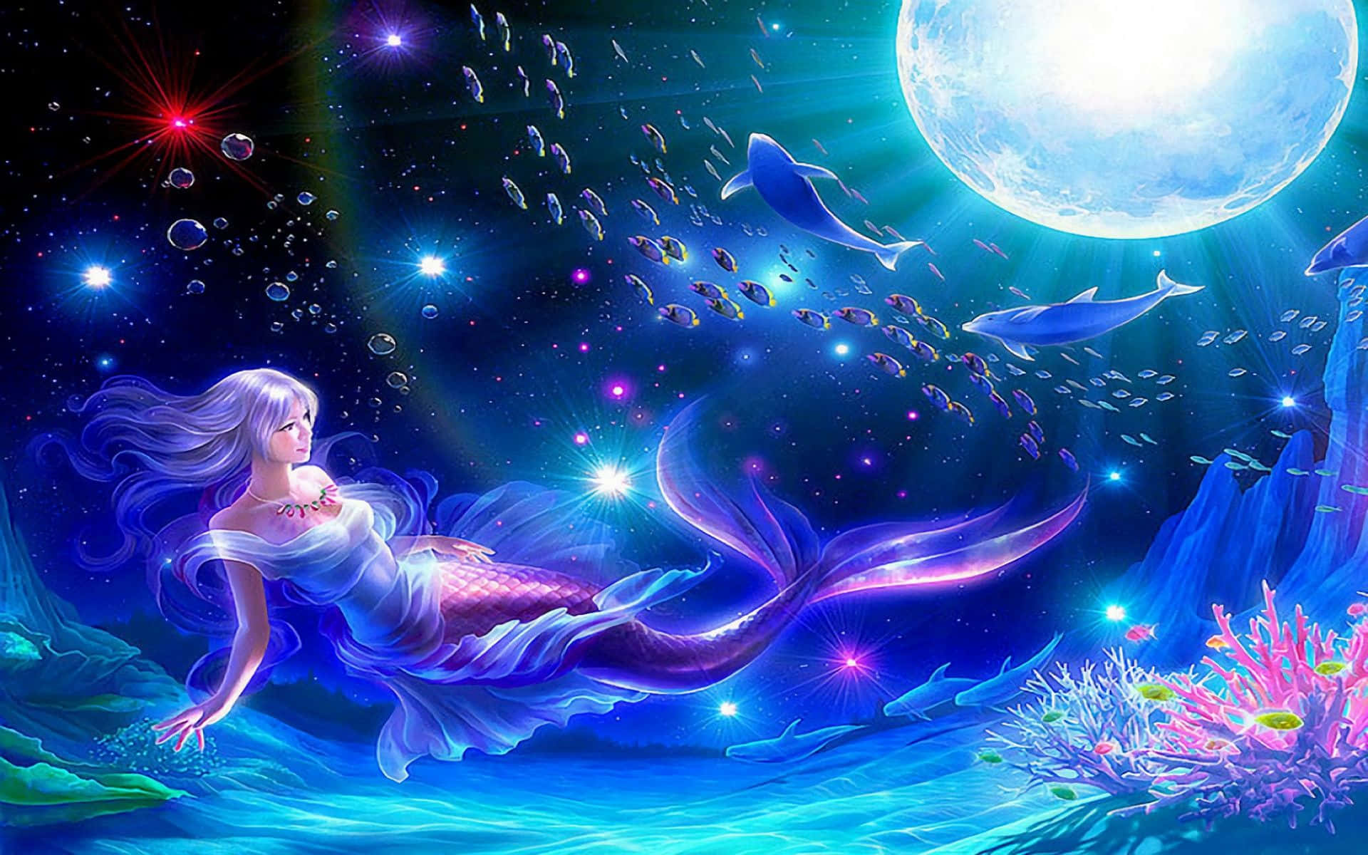 威風可愛美人魚海洋生物 壁紙