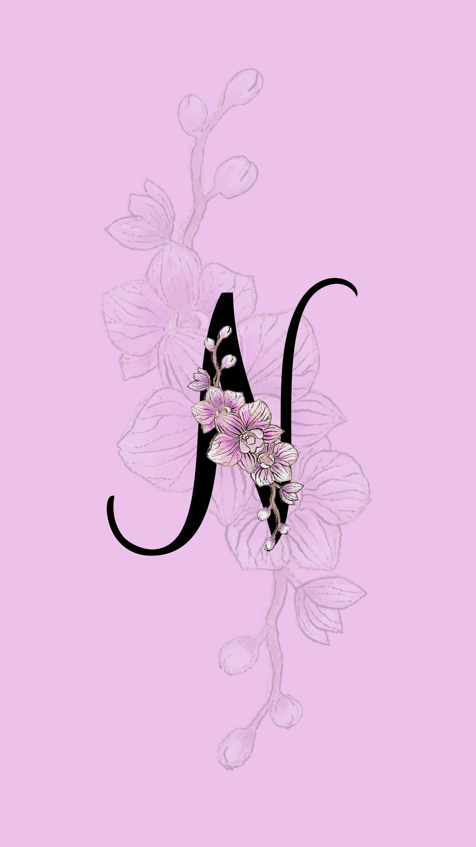 字母N與蘭花 壁紙