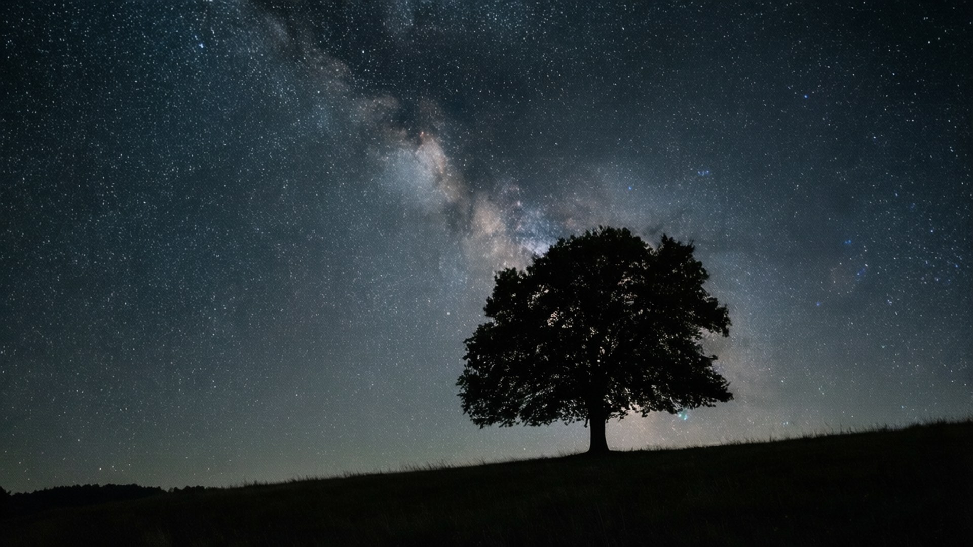 孤樹星空 壁紙