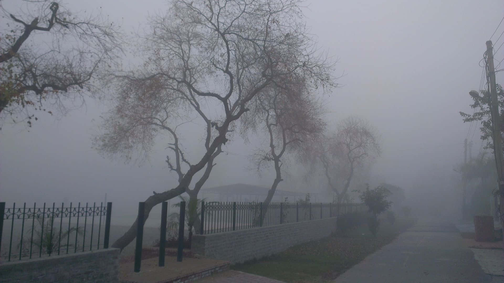 宁静美学灰色背景 壁紙