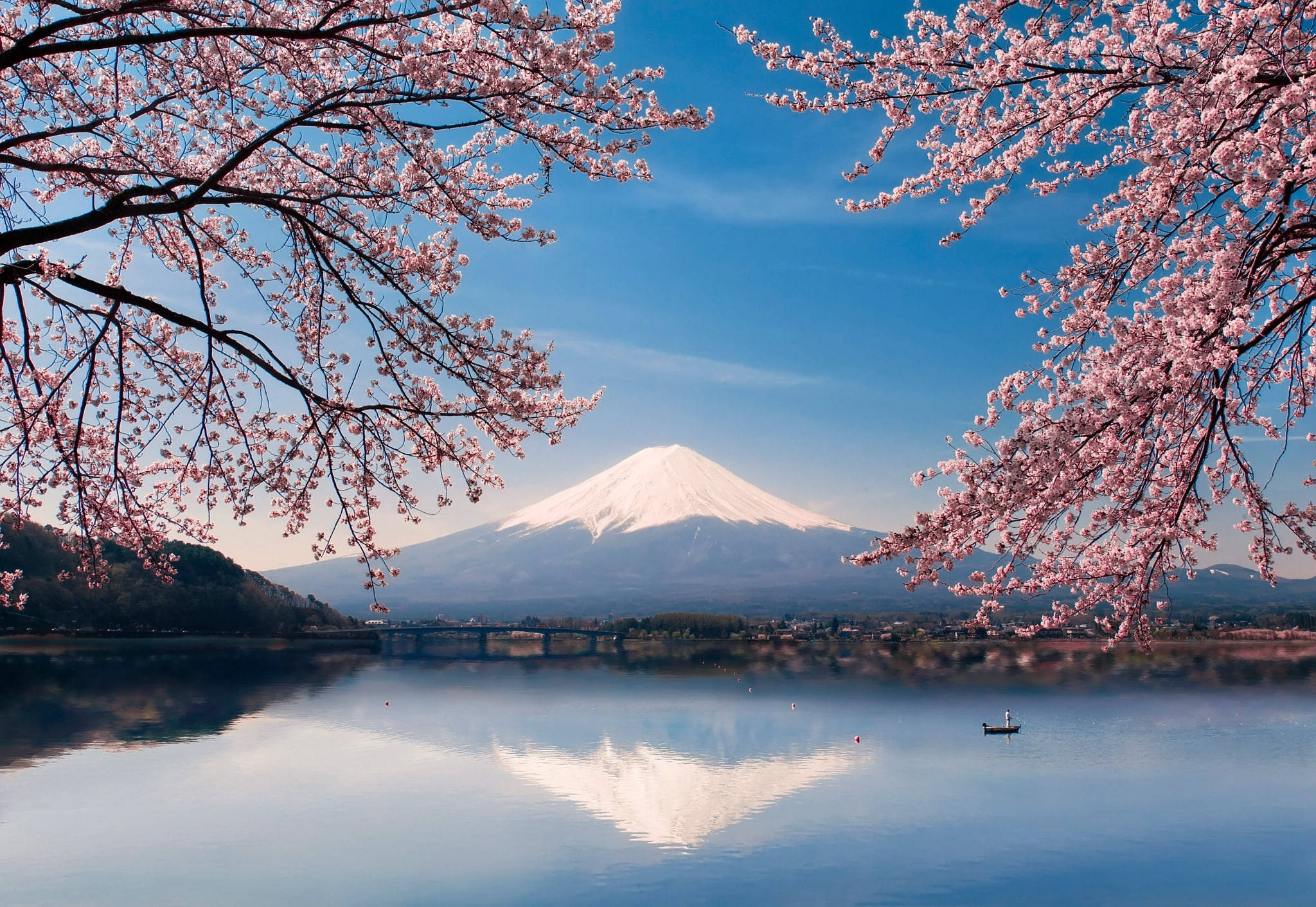 富士山櫻花日本4K 壁紙