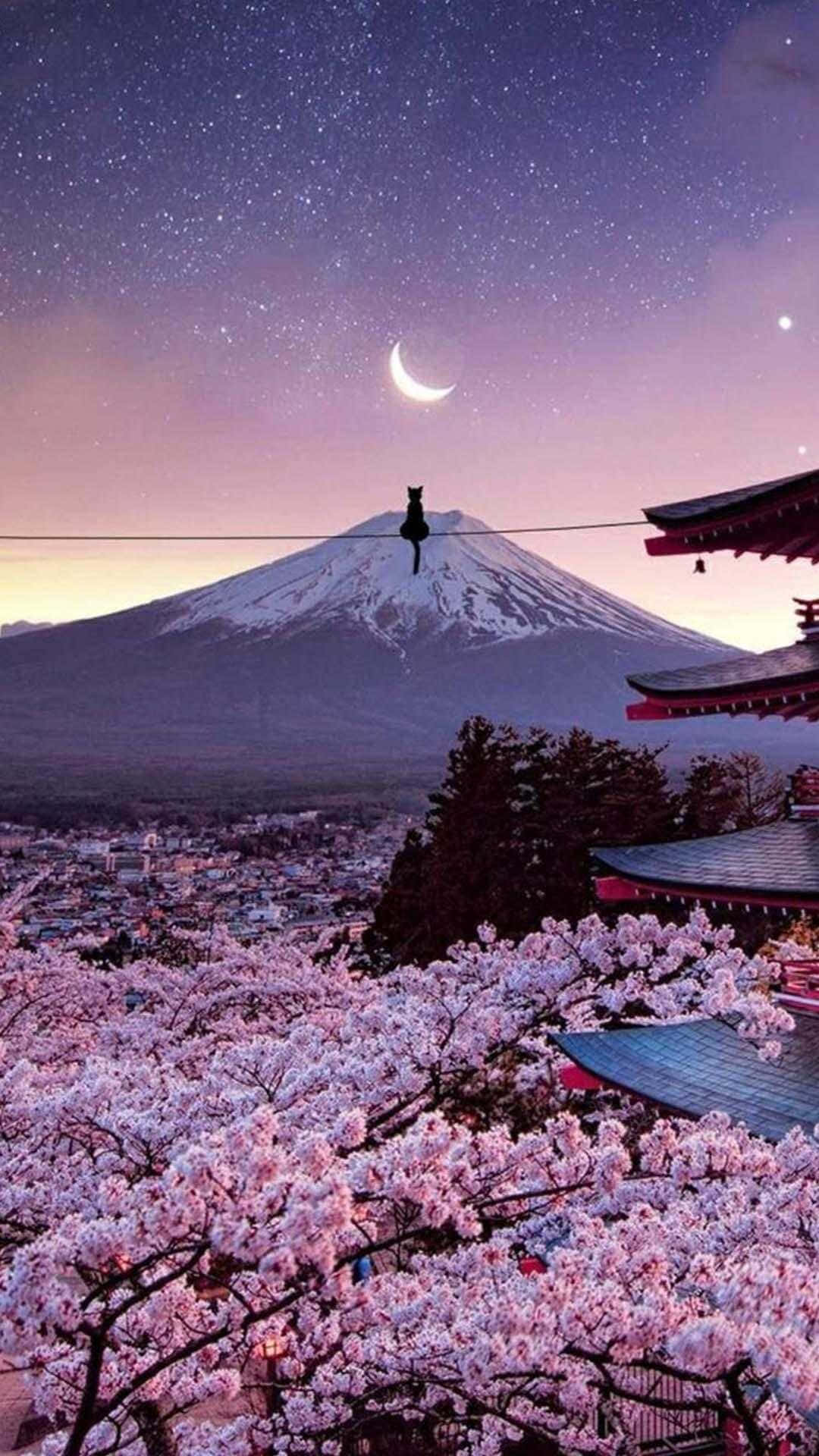 富士山與櫻花日本iPhone桌布 壁紙