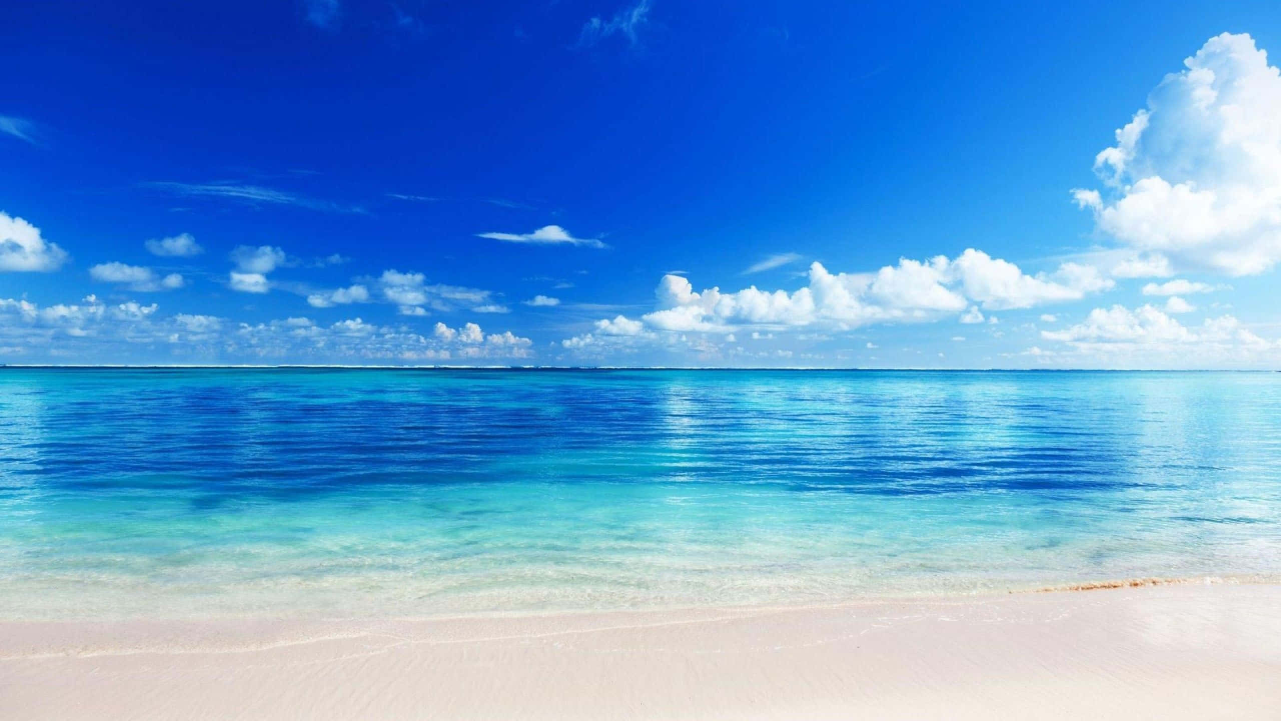 寧靜海景與晴朗天空背景 壁紙
