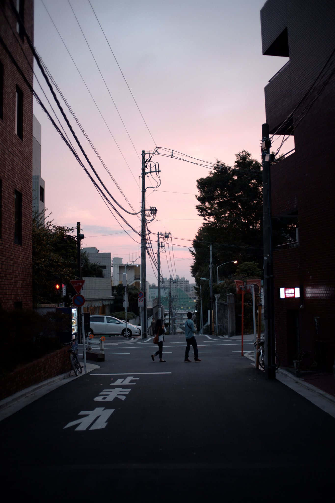 寧靜祥和的夕陽海灘場景 壁紙