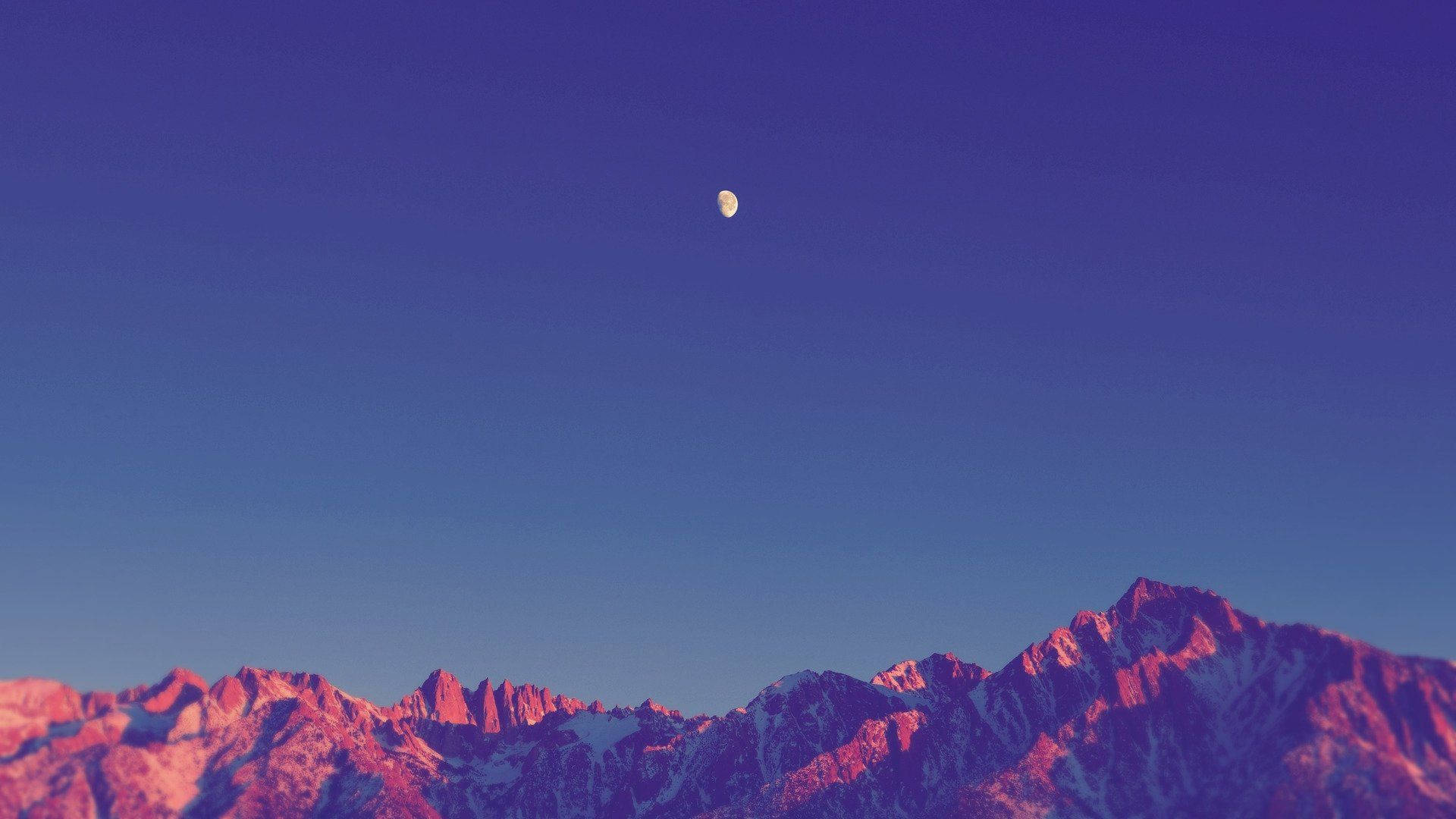 寧靜紫調美學 — 紫色 壁紙